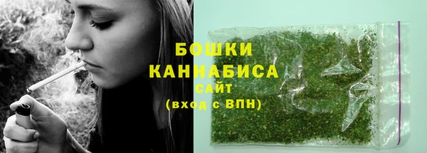 ПСИЛОЦИБИНОВЫЕ ГРИБЫ Верхний Тагил