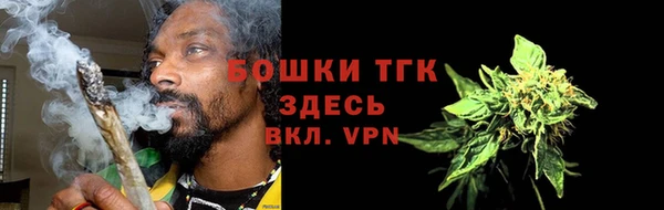 ПСИЛОЦИБИНОВЫЕ ГРИБЫ Верхний Тагил