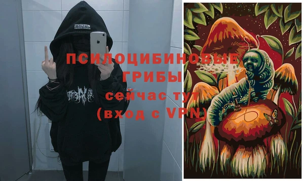 амф Ступино