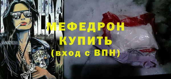индика Жердевка