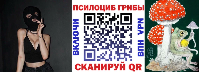 Псилоцибиновые грибы мицелий  как найти закладки  kraken сайт  Медвежьегорск 